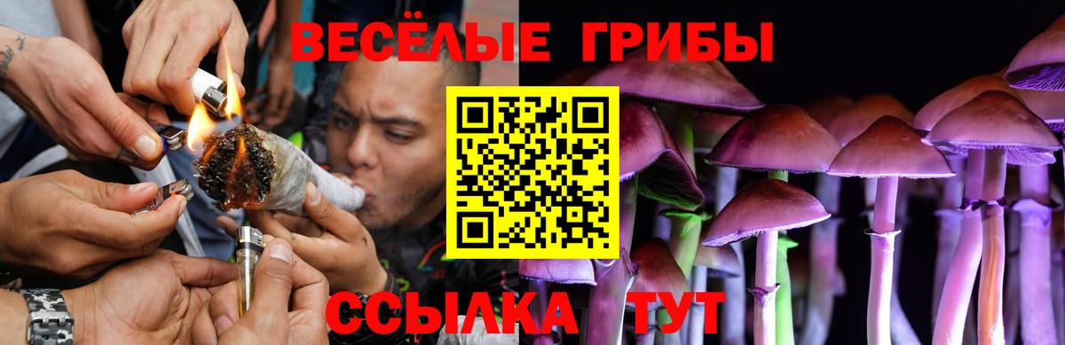 Галлюциногенные грибы MAGIC MUSHROOMS  Псилоцибиновые грибы мицелий  Гагарин  Вход с VPN 